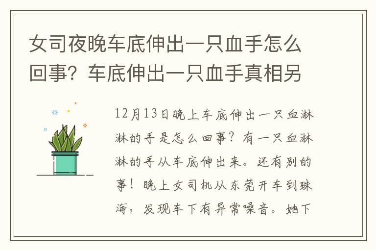 女司夜晚车底伸出一只血手怎么回事？车底伸出一只血手真相另有隐情！