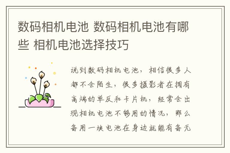 数码相机电池 数码相机电池有哪些 相机电池选择技巧