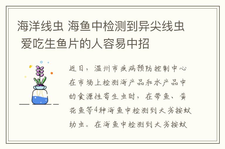 海洋线虫 海鱼中检测到异尖线虫 爱吃生鱼片的人容易中招