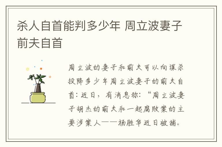 杀人自首能判多少年 周立波妻子前夫自首