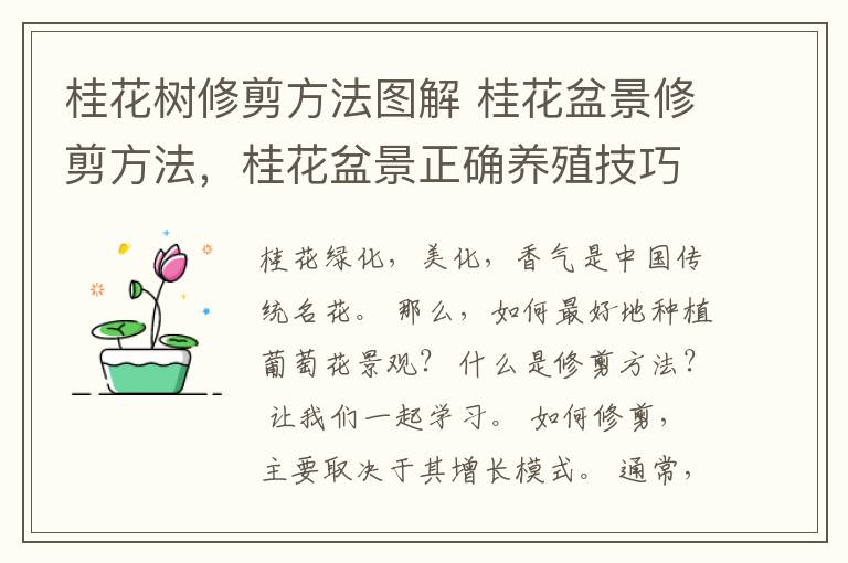 桂花树修剪方法图解 桂花盆景修剪方法，桂花盆景正确养殖技巧