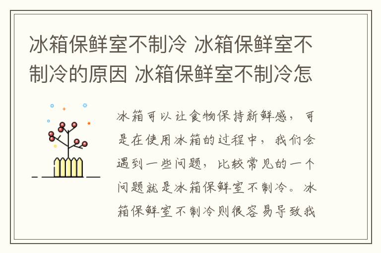 冰箱保鲜室不制冷 冰箱保鲜室不制冷的原因 冰箱保鲜室不制冷怎么解决