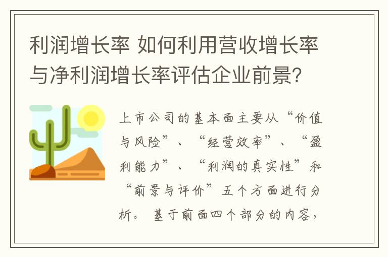 利润增长率 如何利用营收增长率与净利润增长率评估企业前景？