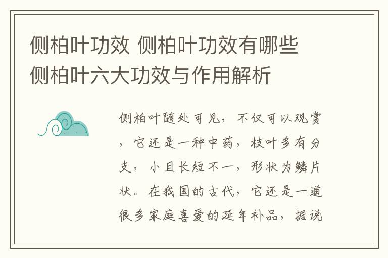 侧柏叶功效 侧柏叶功效有哪些 侧柏叶六大功效与作用解析