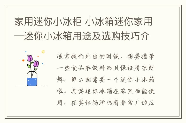 家用迷你小冰柜 小冰箱迷你家用—迷你小冰箱用途及选购技巧介绍