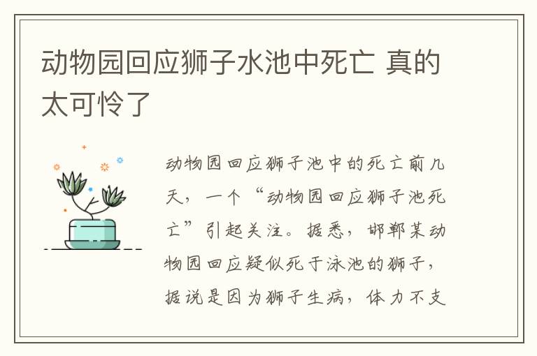 动物园回应狮子水池中死亡 真的太可怜了