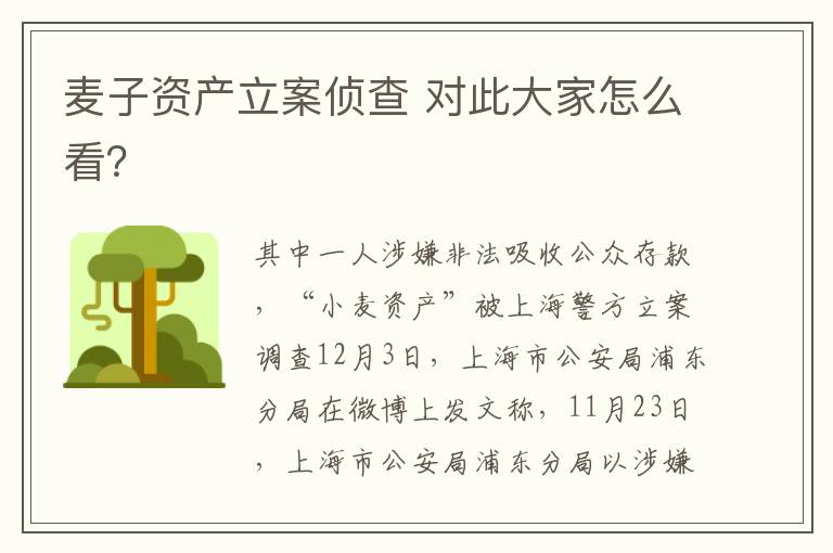 麦子资产立案侦查 对此大家怎么看？