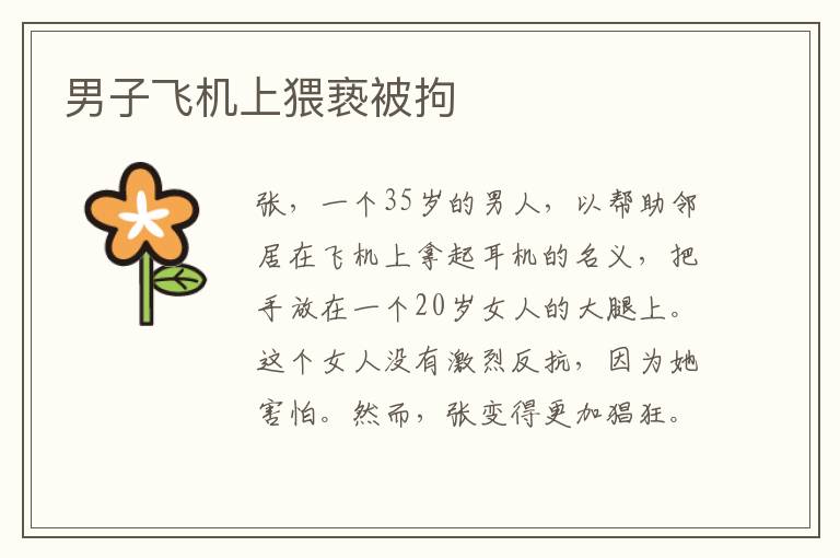 男子飞机上猥亵被拘