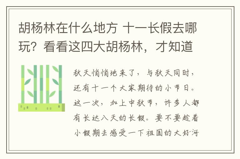 胡杨林在什么地方 十一长假去哪玩？看看这四大胡杨林，才知道什么是人间仙境