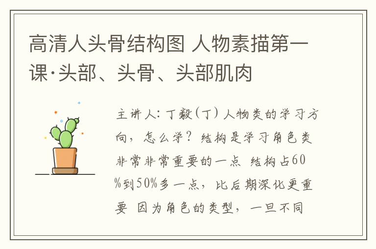 高清人头骨结构图 人物素描第一课·头部、头骨、头部肌肉