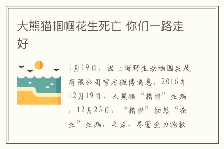 大熊猫帼帼花生死亡 你们一路走好
