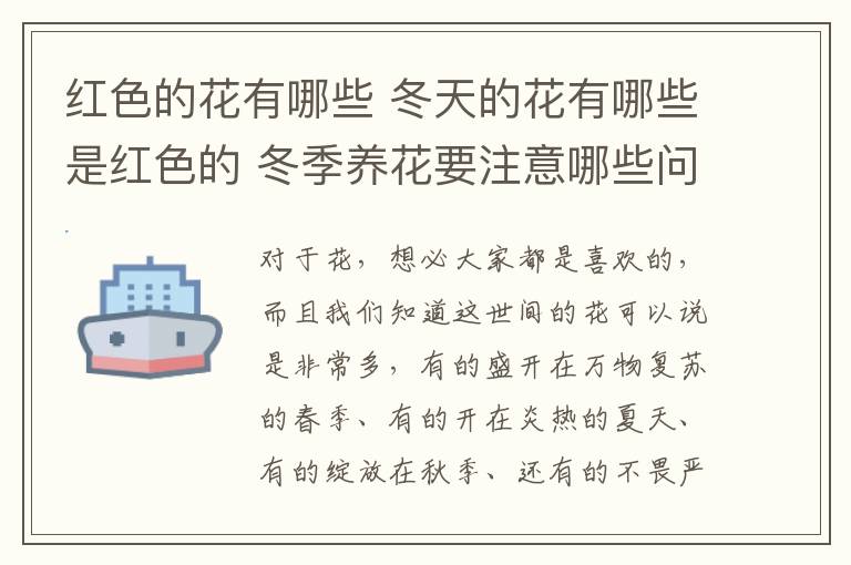 红色的花有哪些 冬天的花有哪些是红色的 冬季养花要注意哪些问题