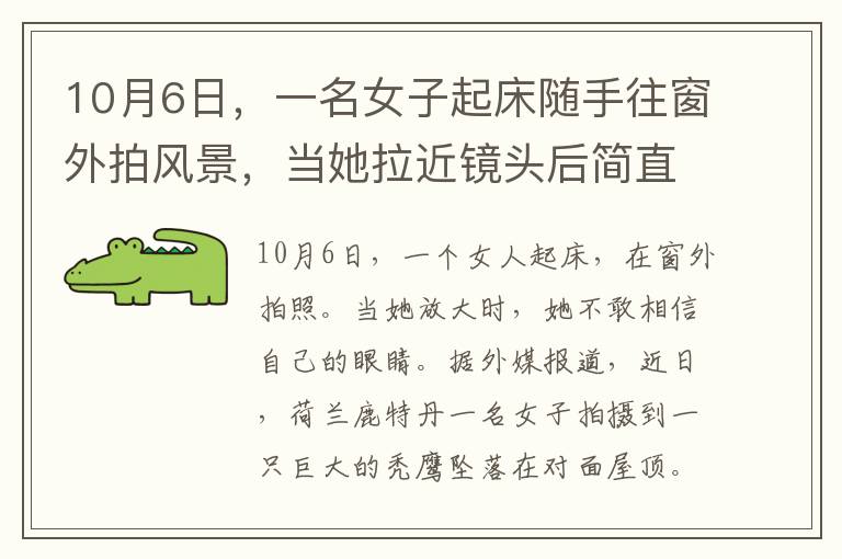 10月6日，一名女子起床随手往窗外拍风景，当她拉近镜头后简直不敢相信自己的眼睛。
