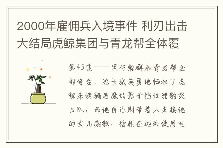 2000年雇佣兵入境事件 利刃出击大结局虎鲸集团与青龙帮全体覆灭 沈长城壮烈牺牲附全集剧情