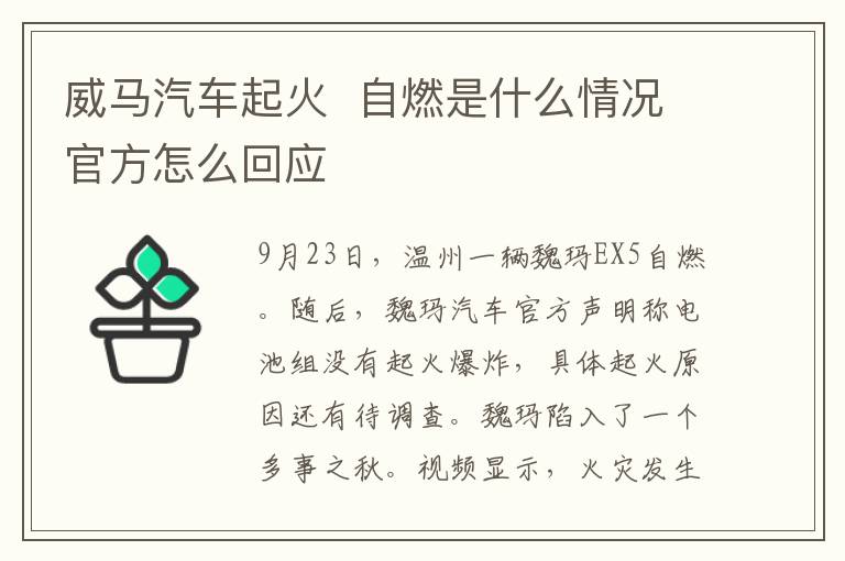 威马汽车起火  自燃是什么情况官方怎么回应