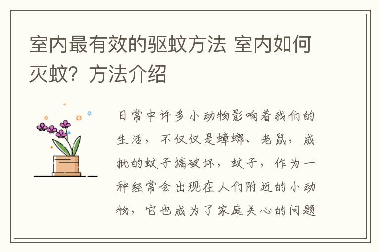 室内最有效的驱蚊方法 室内如何灭蚊？方法介绍