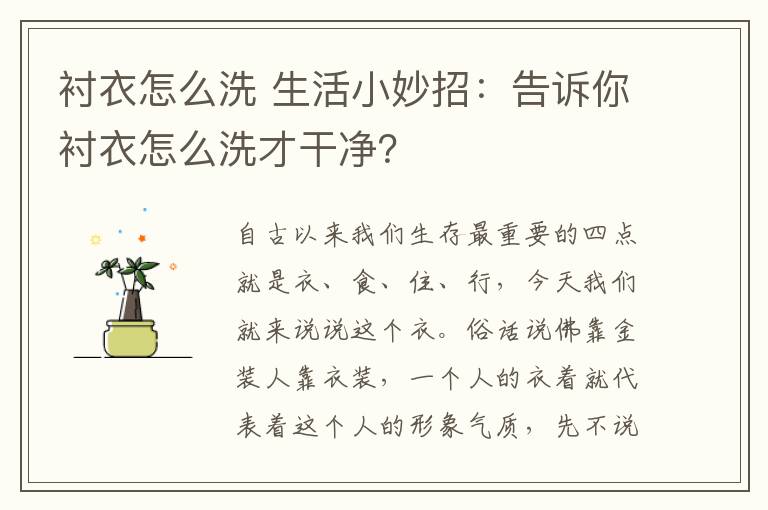 衬衣怎么洗 生活小妙招：告诉你衬衣怎么洗才干净？