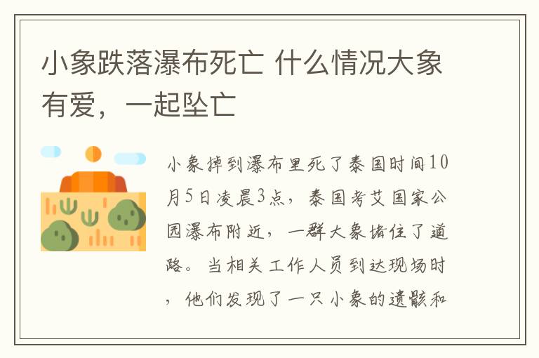 小象跌落瀑布死亡 什么情况大象有爱，一起坠亡