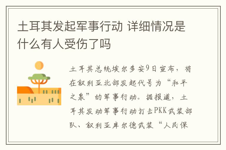 土耳其发起军事行动 详细情况是什么有人受伤了吗