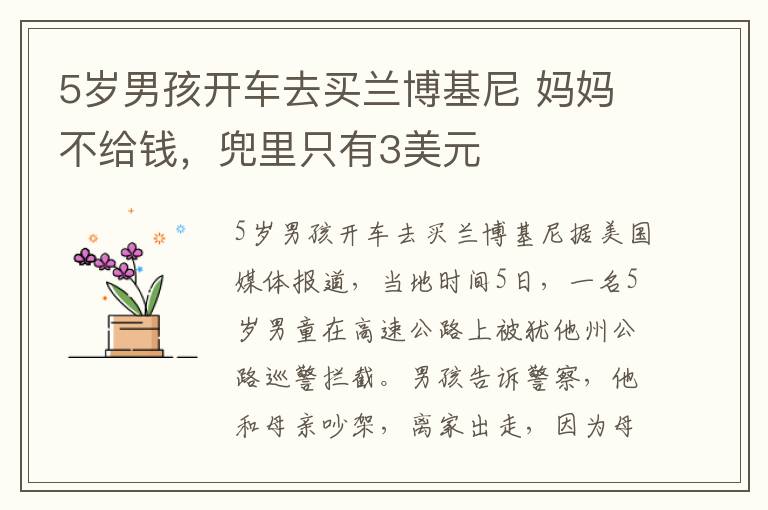 5岁男孩开车去买兰博基尼 妈妈不给钱，兜里只有3美元