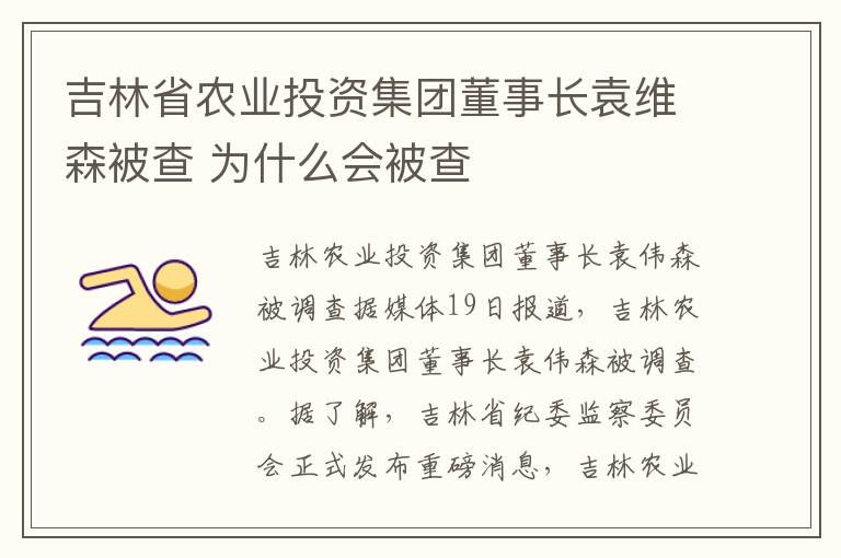 吉林省农业投资集团董事长袁维森被查 为什么会被查