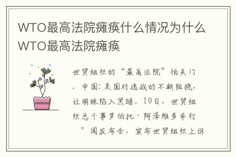 WTO最高法院瘫痪什么情况为什么WTO最高法院瘫痪