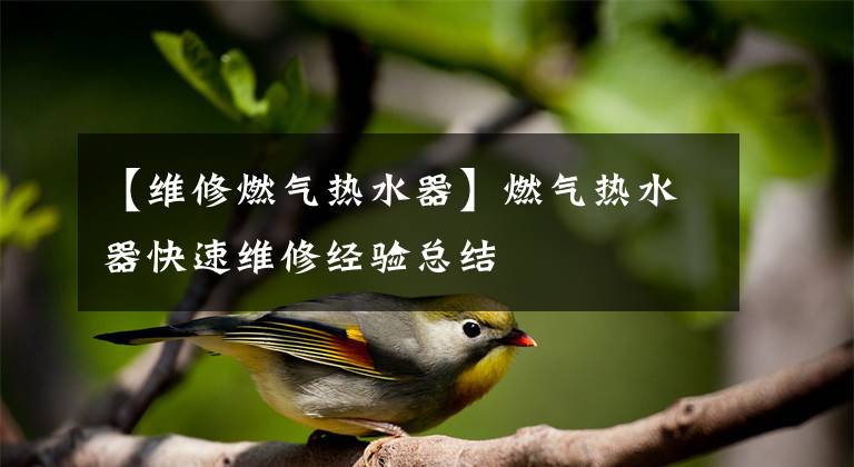 【维修燃气热水器】燃气热水器快速维修经验总结