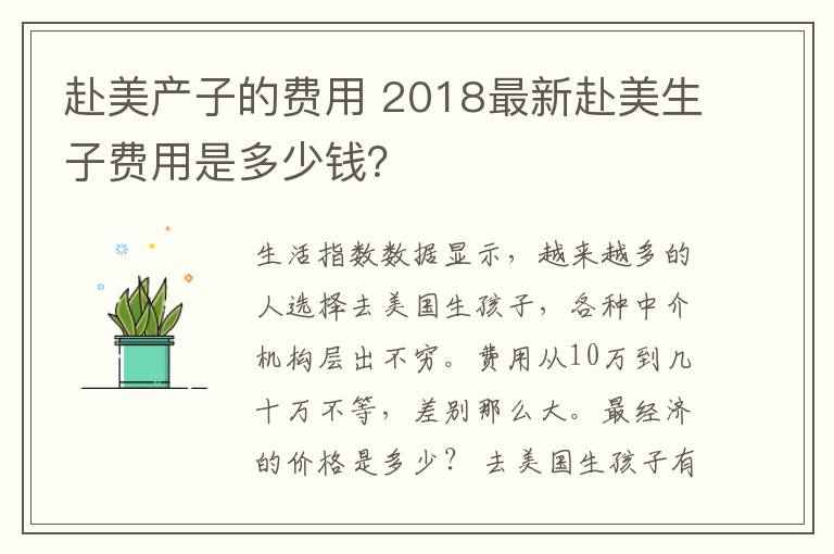 赴美产子的费用 2018最新赴美生子费用是多少钱？