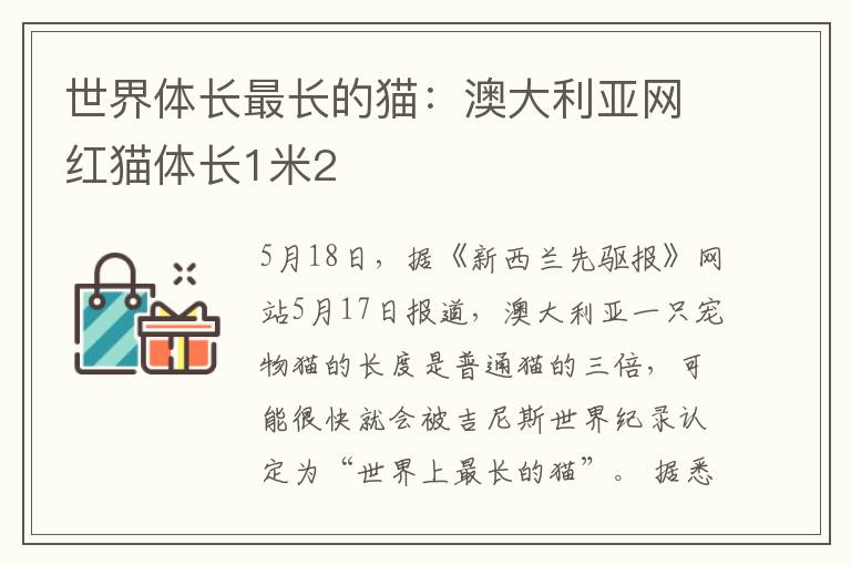 世界体长最长的猫：澳大利亚网红猫体长1米2