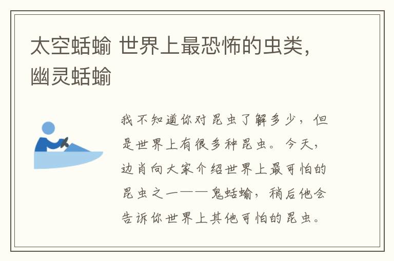太空蛞蝓 世界上最恐怖的虫类，幽灵蛞蝓