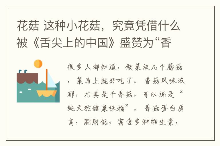 花菇 这种小花菇，究竟凭借什么被《舌尖上的中国》盛赞为“香菇中的王者”？