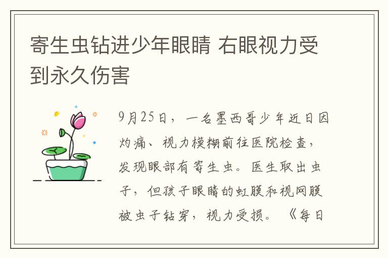 寄生虫钻进少年眼睛 右眼视力受到永久伤害