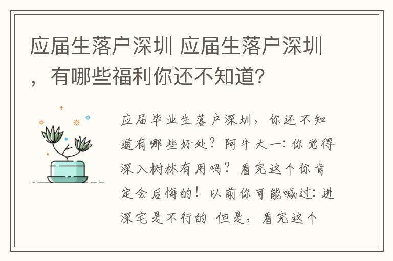 应届生落户深圳 应届生落户深圳，有哪些福利你还不知道？