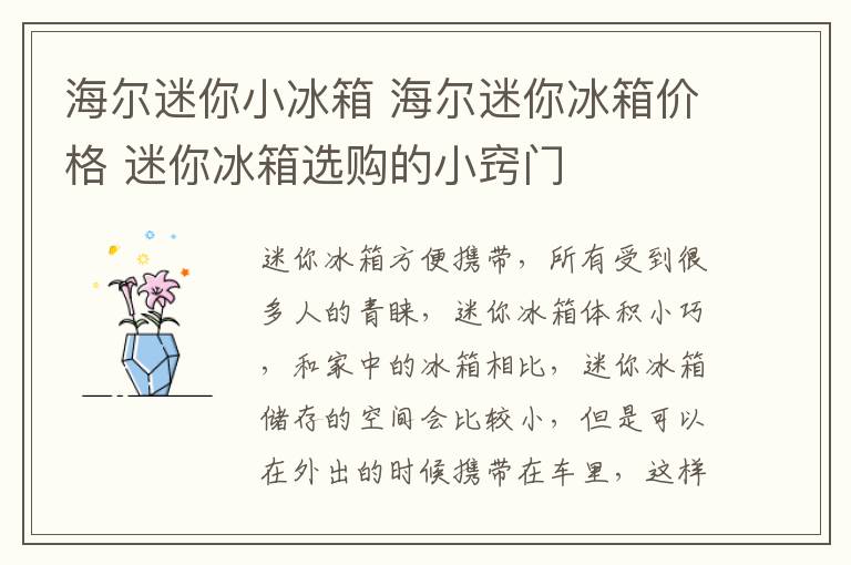 海尔迷你小冰箱 海尔迷你冰箱价格 迷你冰箱选购的小窍门