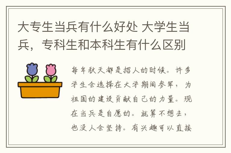 大专生当兵有什么好处 大学生当兵，专科生和本科生有什么区别？真实答案扎心了