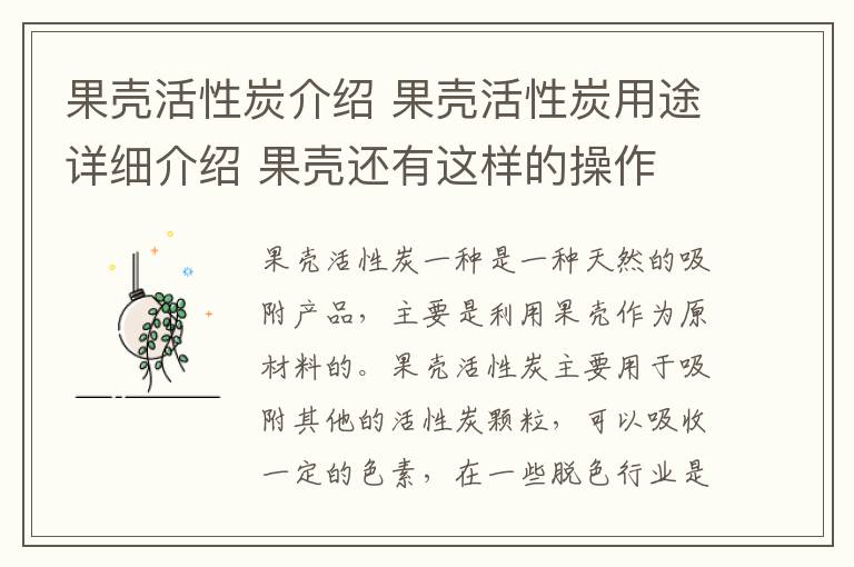 果壳活性炭介绍 果壳活性炭用途详细介绍 果壳还有这样的操作