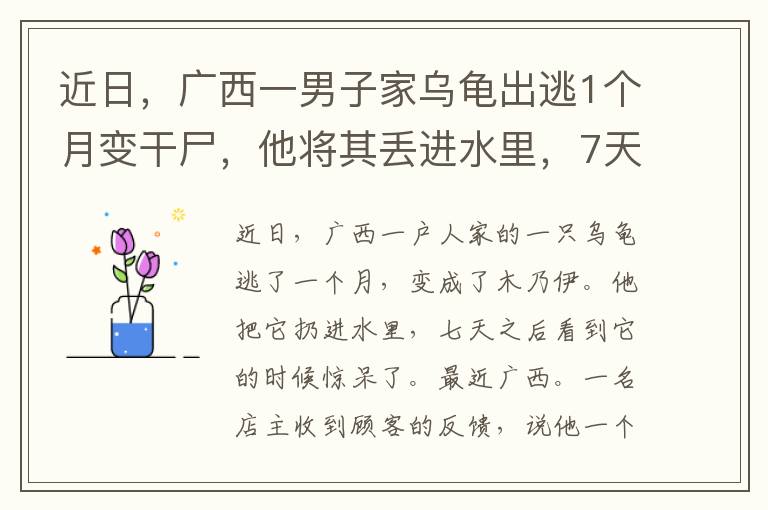 近日，广西一男子家乌龟出逃1个月变干尸，他将其丢进水里，7天后再看吓了一跳。