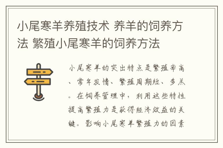 小尾寒羊养殖技术 养羊的饲养方法 繁殖小尾寒羊的饲养方法