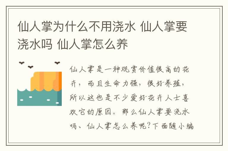 仙人掌为什么不用浇水 仙人掌要浇水吗 仙人掌怎么养