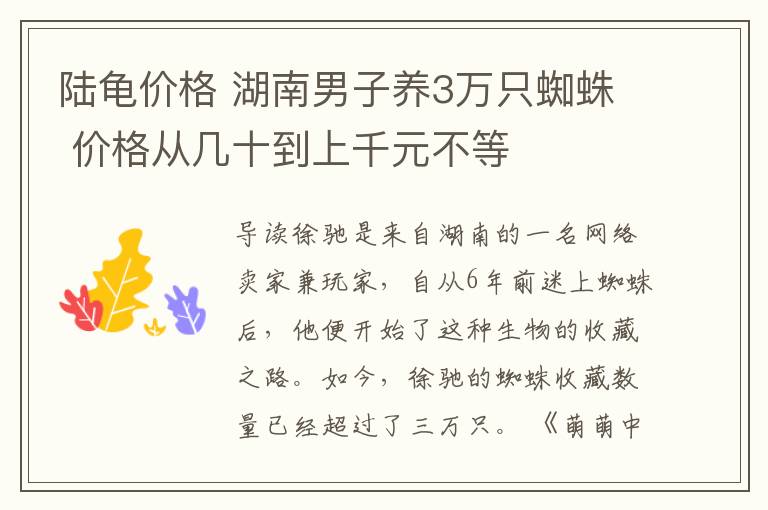 陆龟价格 湖南男子养3万只蜘蛛 价格从几十到上千元不等