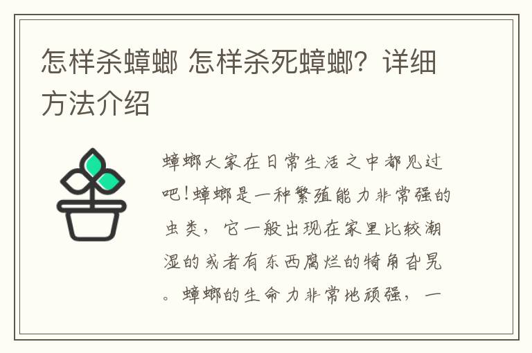 怎样杀蟑螂 怎样杀死蟑螂？详细方法介绍