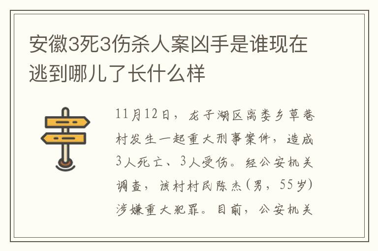 安徽3死3伤杀人案凶手是谁现在逃到哪儿了长什么样