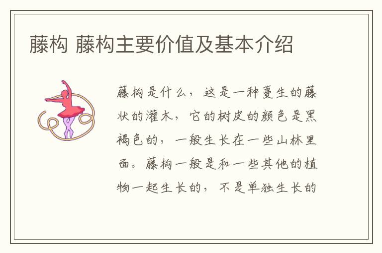 藤构 藤构主要价值及基本介绍