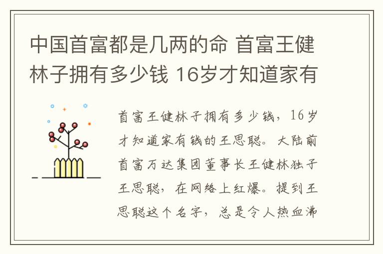 中国首富都是几两的命 首富王健林子拥有多少钱 16岁才知道家有钱的王思聪