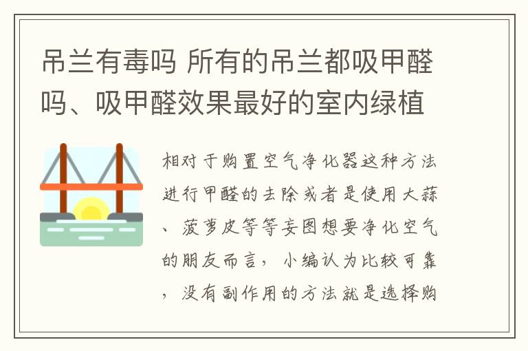 吊兰有毒吗 所有的吊兰都吸甲醛吗、吸甲醛效果最好的室内绿植