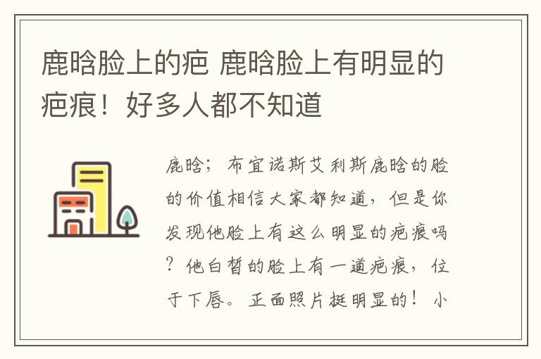 鹿晗脸上的疤 鹿晗脸上有明显的疤痕！好多人都不知道