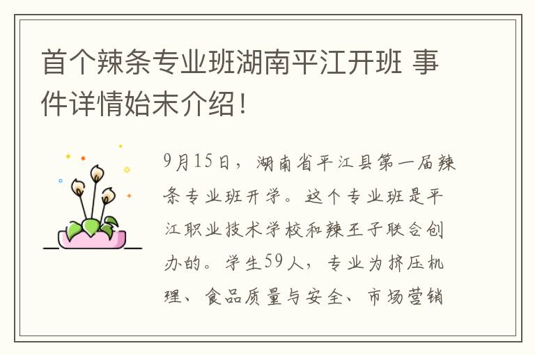 首个辣条专业班湖南平江开班 事件详情始末介绍！