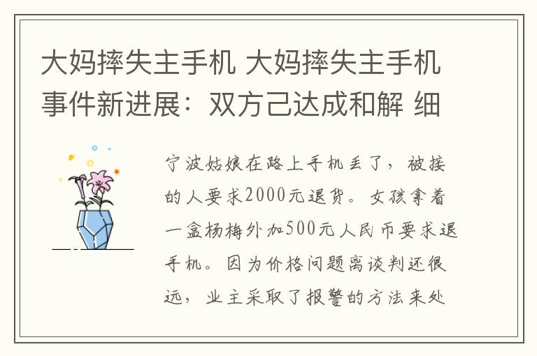 大妈摔失主手机 大妈摔失主手机事件新进展：双方己达成和解 细节不作公开披露