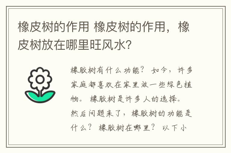 橡皮树的作用 橡皮树的作用，橡皮树放在哪里旺风水？