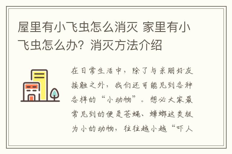 屋里有小飞虫怎么消灭 家里有小飞虫怎么办？消灭方法介绍